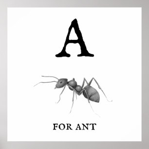 "A" voor Ant Poster