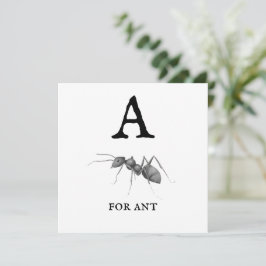 "A" voor een platte kaart