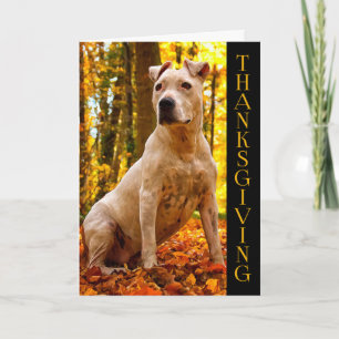 A-vriend - de Amerikaanse Hond van het Personeel   Feestdagen Kaart