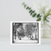 A Walk in Lincoln Park, Chicago, Illinois  Briefkaart (Staand voorkant)