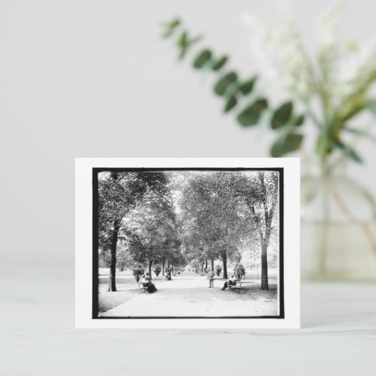 A Walk in Lincoln Park, Chicago, Illinois  Briefkaart (Staand voorkant)