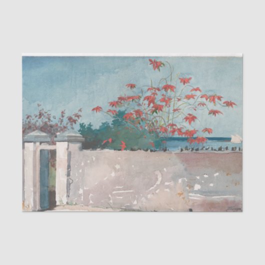 A Wall, Nassau door Winslow Homer Tissuepapier (Voorkant)