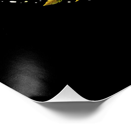 A Warming World Perfect Poster (Hoek)