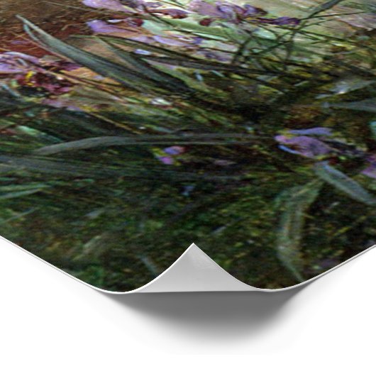 A Water Idyll van Hans Zatzka - poster (Hoek)