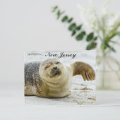 A Wave and a Wink From a Seal in New Jersey Briefkaart (Staand voorkant)