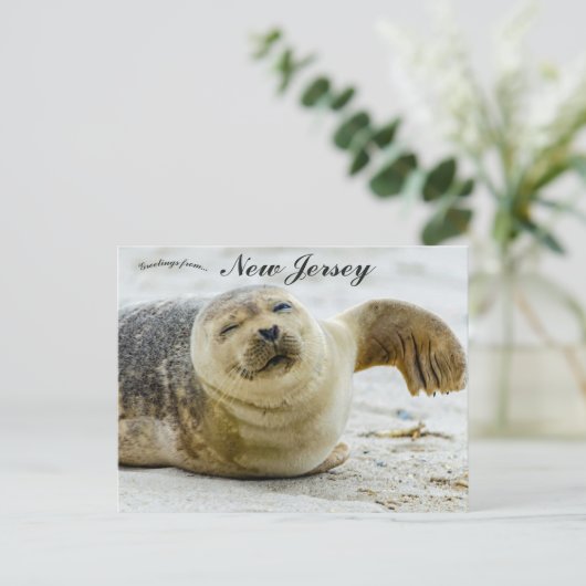 A Wave and a Wink From a Seal in New Jersey Briefkaart (Staand voorkant)