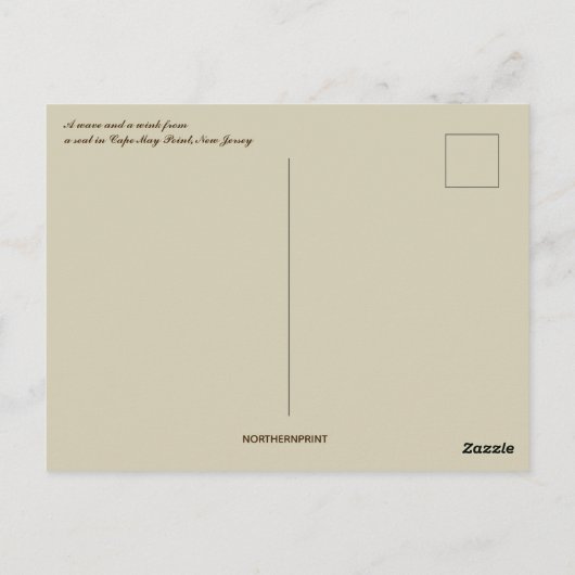 A Wave and a Wink From a Seal in New Jersey Briefkaart (Achterkant)