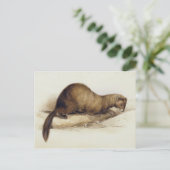 A Weasel, 1832 (m/c, pen, inkt, gouache en gombove Briefkaart (Staand voorkant)