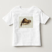 A Weasel, 1832 (m/c, pen, inkt, gouache en gombove Kinder Shirts (Voorkant)