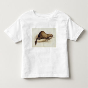 A Weasel, 1832 (m/c, pen, inkt, gouache en gombove Kinder Shirts
