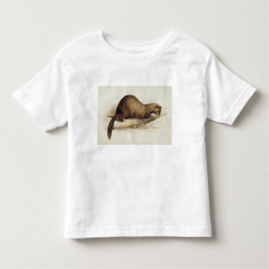 A Weasel, 1832 (m/c, pen, inkt, gouache en gombove Kinder Shirts (Voorkant)