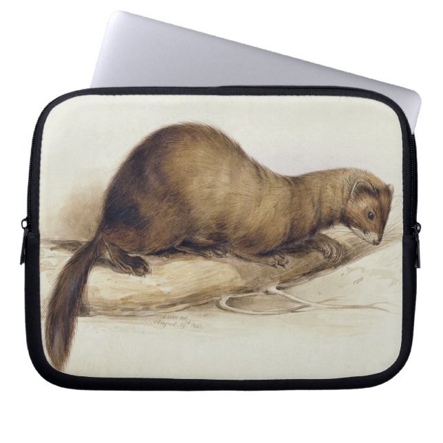 A Weasel, 1832 (m/c, pen, inkt, gouache en gombove Laptop Sleeve (Voorkant)