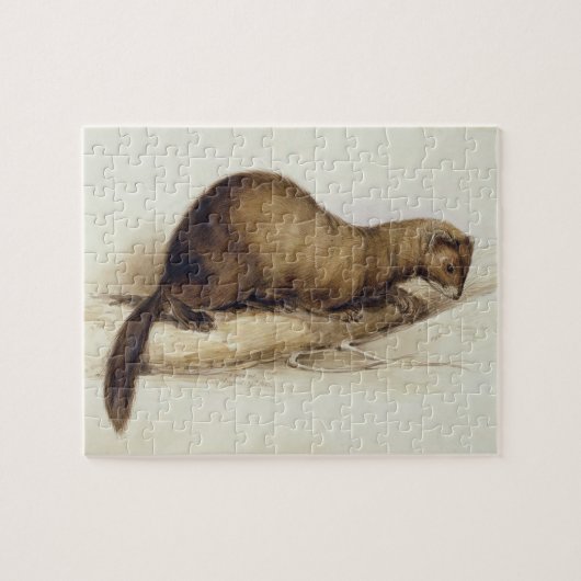 A Weasel, 1832 (m/c, pen, inkt, gouache en gombove Legpuzzel (Horizontaal)