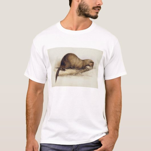 A Weasel, 1832 (m/c, pen, inkt, gouache en gombove T-shirt (Voorkant)