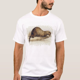 A Weasel, 1832 (m/c, pen, inkt, gouache en gombove T-shirt