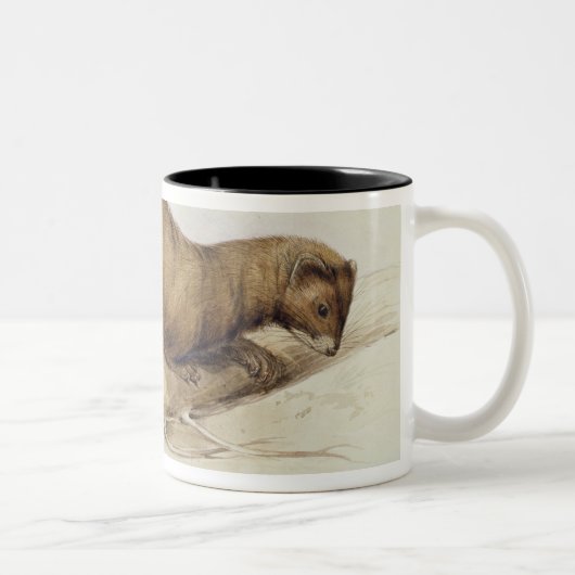 A Weasel, 1832 (m/c, pen, inkt, gouache en gombove Tweekleurige Koffiemok (Rechts)