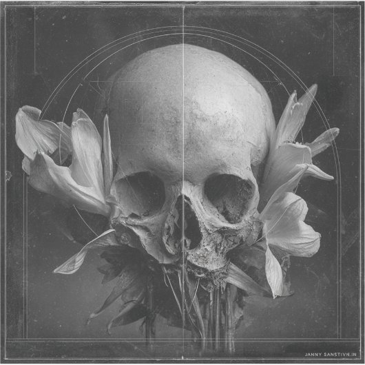 A Weathered Reverie — Gothic Fine Art Sticker (Voorkant)