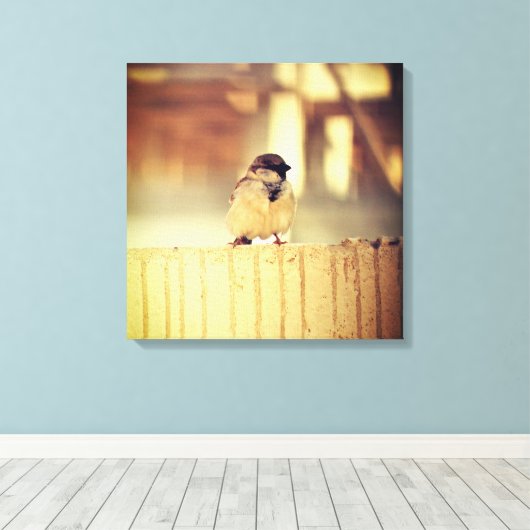 A Wee Sparrow Canvas Afdruk (Insitu (Houten vloer))
