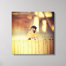 A Wee Sparrow Canvas Afdruk