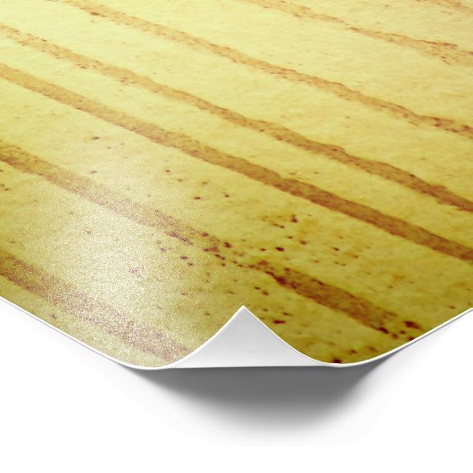 A Wee Sparrow Foto Afdruk (Hoek)