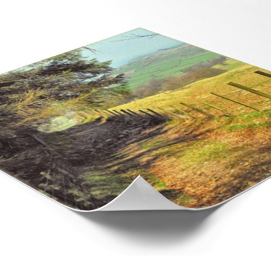 A Welsh Country Road Poster (Hoek)