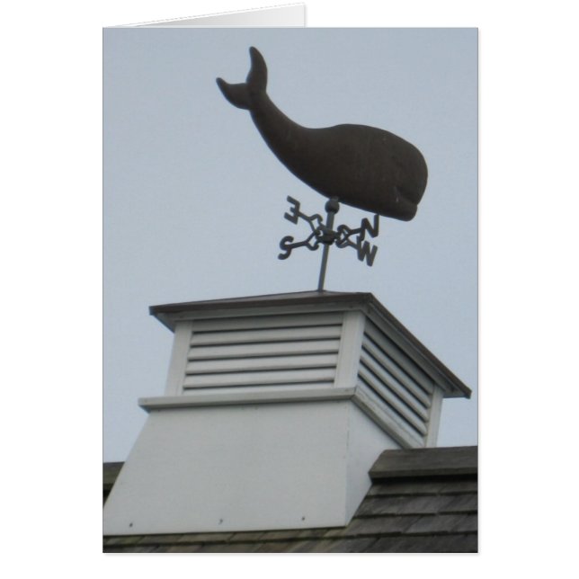 "A Whale Weathervane" (Voorkant)