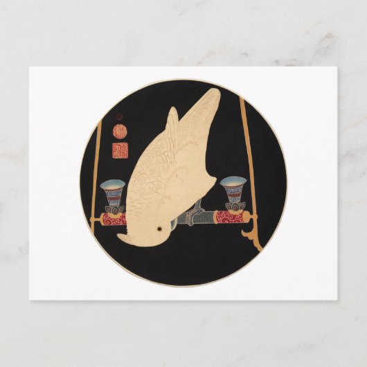 A White Macaw, Jakuchu Briefkaart (Voorkant)