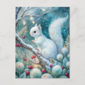 A White Squirrel Briefkaart (Voorkant)
