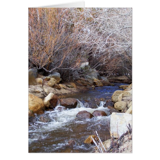 A Winter Creek (Voorkant)