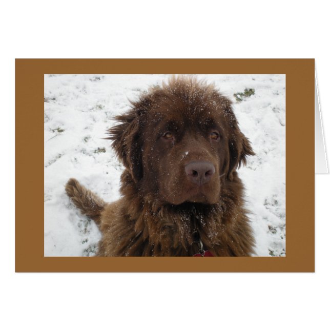 A Winter Posey (Voorkant Horizontaal)