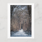 A Winters Day in Kluisbos Belgium Feestdagenkaart (Voorkant)