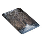 A Winters Day in Kluisbos Belgium Magneet (Rechterzijde)