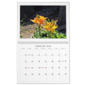 A Wonders Walk... 2024 Grote Muurkalender Kalender (Feb 2026)