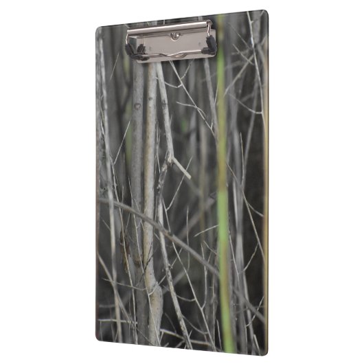 A Wooded Escape Collection Klembord (Links)