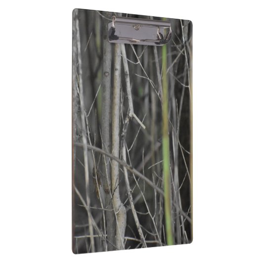 A Wooded Escape Collection Klembord (Rechts)