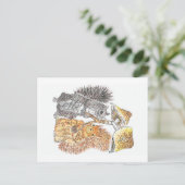 A Woodland Walk | Briefkaart eekhoorn (Staand voorkant)