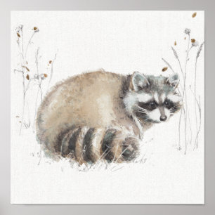 A Woodland Walk X Poster