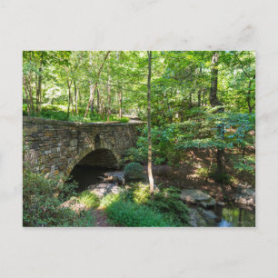 A Woodlands Walkway Bridge Briefkaart