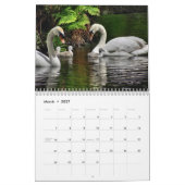 A Year in Ireland Calendar - Customize Year Kalender (Mar 2027)