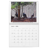 A Year in my Woodland 2015 Calendar Kalender (Mar 2026)