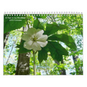 A Year in my Woodland 2015 Calendar Kalender (Hoes)
