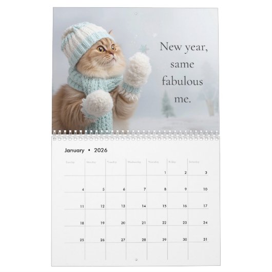 A Year of Cozy Cats Calendar Kalender (Jan 2026)