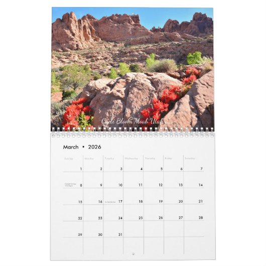 A Year of Natural Wonder Kalender (Mar 2026)