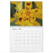 A Year of Orchids Flower Orchid Calendar Photos Kalender (Feb 2026)