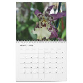 A Year of Orchids Flower Orchid Calendar Photos Kalender (Jan 2026)