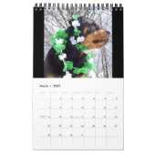 "A Year with Annie" 2016 Rottweiler Calendar Kalender (Mar 2027)