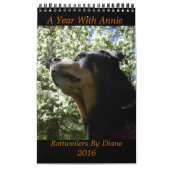 "A Year with Annie" 2016 Rottweiler Calendar Kalender (Hoes)