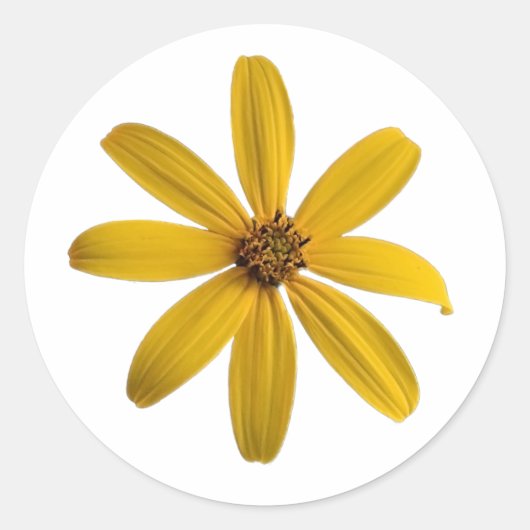 A Yellow Wildflower Sticker (Voorkant)