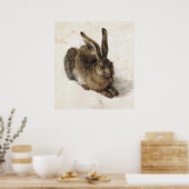 A Young Hare - Albrecht Durer - c1502 Poster (Keuken)