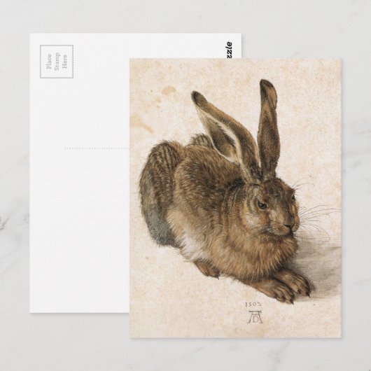 A Young Hare by Albrecht Durer Briefkaart (Voorkant / Achterkant)